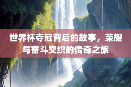 世界杯夺冠背后的故事，荣耀与奋斗交织的传奇之旅
