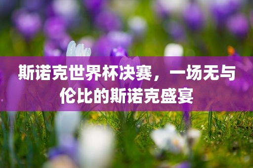 斯诺克世界杯决赛，一场无与伦比的斯诺克盛宴