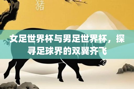 女足世界杯与男足世界杯，探寻足球界的双翼齐飞