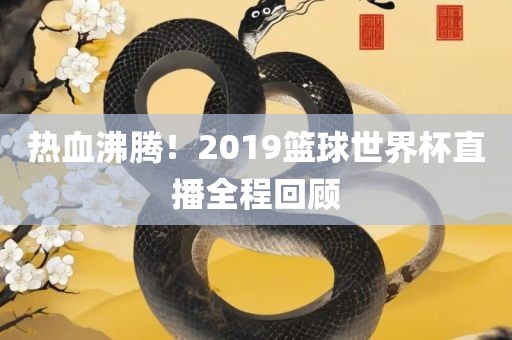 热血沸腾！2019篮球世界杯直播漯河市盈旭机械设备有限公司全程回顾