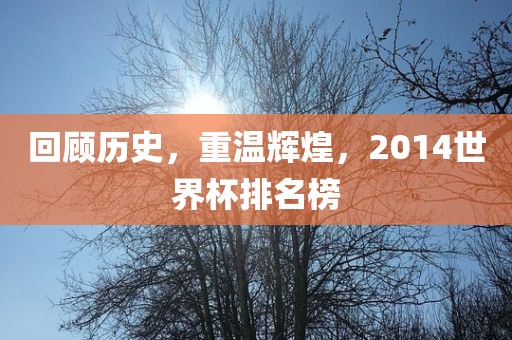 回顾历史，重温辉煌，2014世界杯排名榜