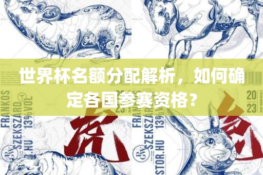 世界杯名额分配解析，如何确定各国参赛资格？