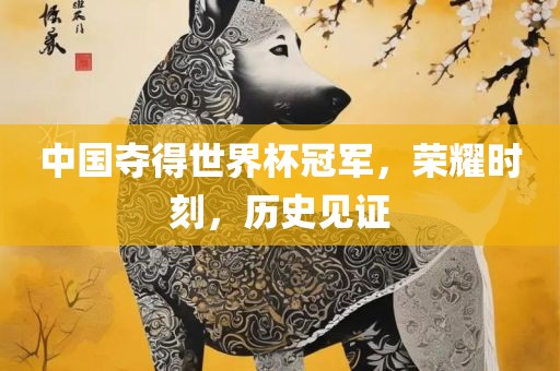 中国夺得世界杯冠军，荣耀时刻，历史见证