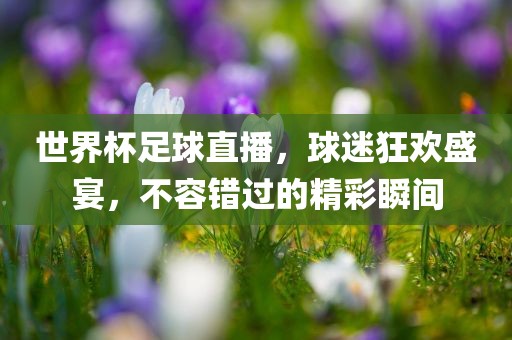 世界杯足球直播，球迷狂欢盛宴，不容错过的精彩瞬间