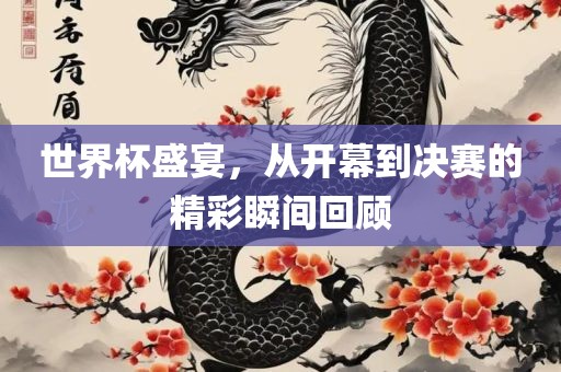世界杯盛宴，从开幕到决赛的精彩瞬间回顾