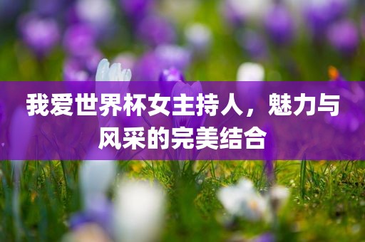 我爱世界杯女主持人，魅力与风采的完美结合