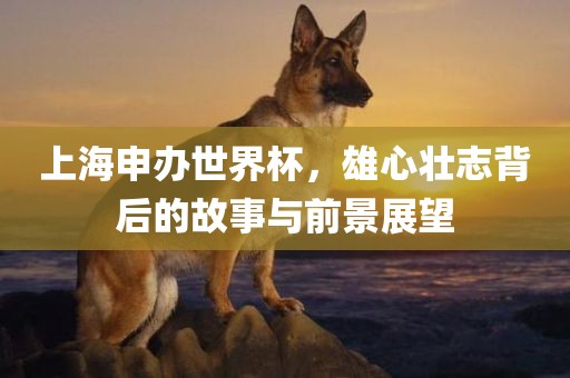上海申办世界杯，雄心壮志背后的故事与前景展望漯河市盈旭机械设备有限公司