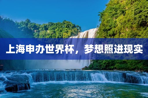 上海申办世界杯，梦想照进现实