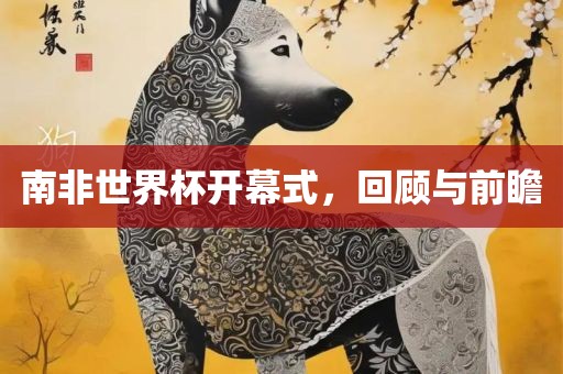 南非世界杯开幕式，回顾与前瞻