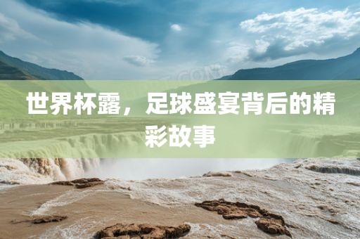 世界杯露，足球盛宴背后的精彩故事漯河市盈旭机械设备有限公司