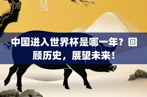 中国进入世界杯是哪一年？回顾历史，展望未来！