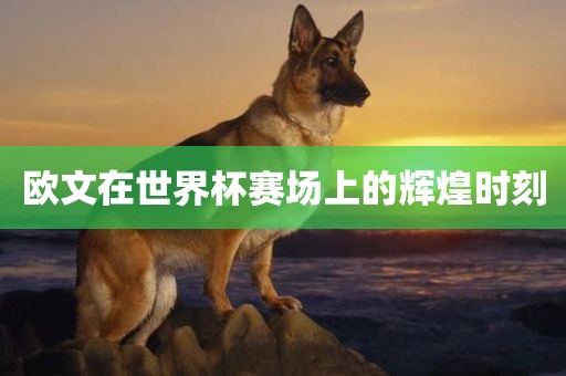 欧文在世界杯赛场上的辉煌时刻