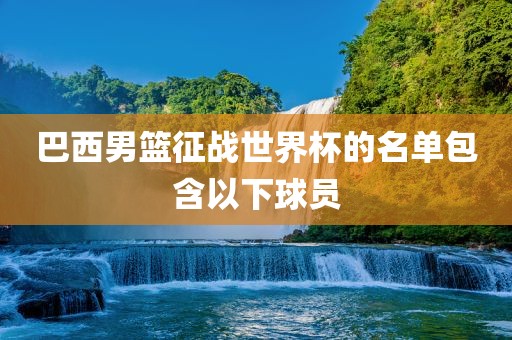 巴西男篮征战世界杯的名单包含以下球员漯河市盈旭机械设备有限公司