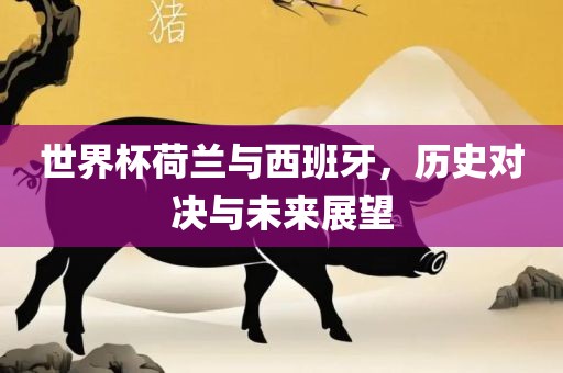 世界杯荷兰与西班牙，历史对决与未来展望漯河市盈旭机械设备有限公司