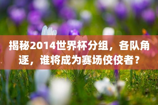 揭秘2014世界杯分组，各队角逐，谁将成漯河市盈旭机械设备有限公司为赛场佼佼者？