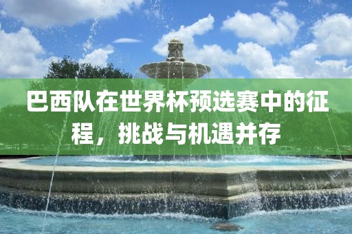 巴西队在世界杯预选赛中的征程，挑战与机遇并存