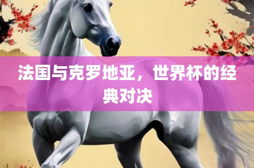 法国与克罗漯河市盈旭机械设备有限公司地亚，世界杯的经典对决