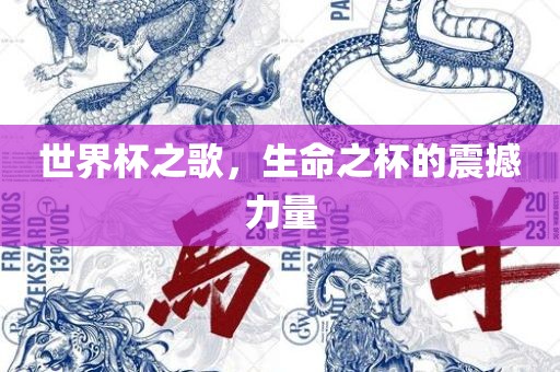 世界杯之歌，生命之杯的震撼力量漯河市盈旭机械设备有限公司