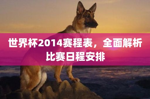 世界杯2014赛程表，全面解析比赛日程安排漯河市盈旭机械设备有限公司