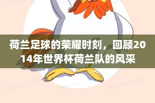 荷兰足球的荣耀时刻，回顾2014年世界杯荷兰队的风采