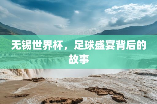 无锡世界杯，足球漯河市盈旭机械设备有限公司盛宴背后的故事