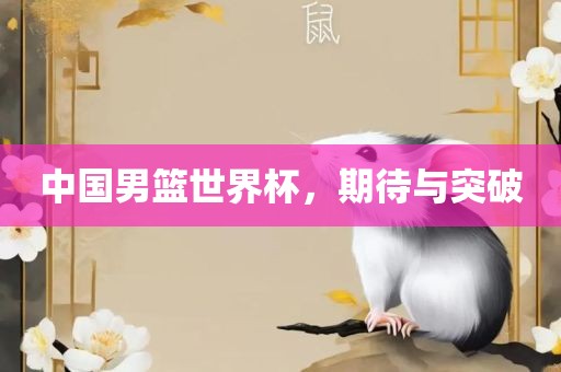 中国男篮世界杯，期待与突破漯河市盈旭机械设备有限公司