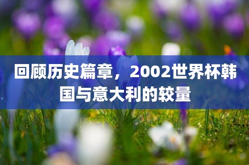 回顾历史篇章，2002世界杯韩国与意大利的较量