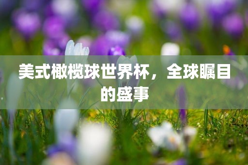 美式橄榄球世界杯，全球瞩目的盛事