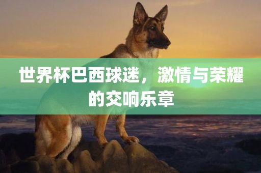 世界杯巴西球迷