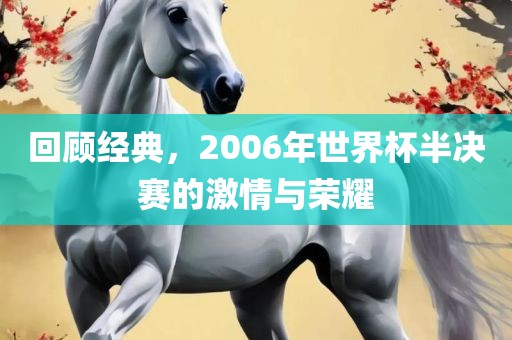 回顾经典，2006年世界杯半决赛的激情与荣耀