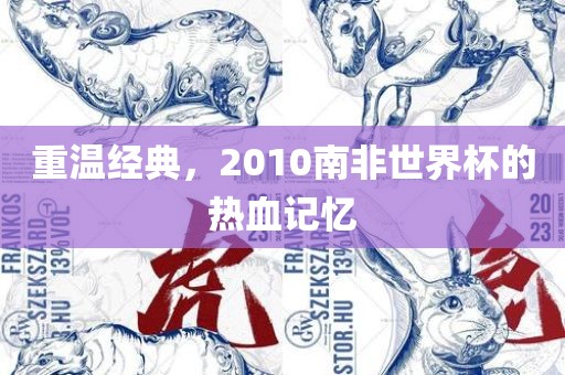重温经典，2010南非世界杯的热血漯河市盈旭机械设备有限公司记忆