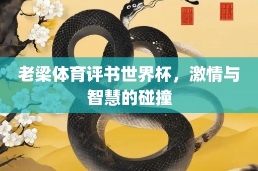 老梁体育评书世界杯，激情与智慧的碰撞