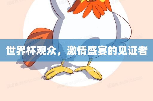 世界杯观众，激情盛宴的见证者漯河市盈旭机械设备有限公司