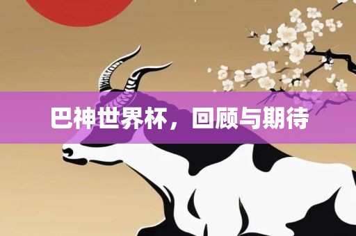 巴神世界杯，回顾与期待