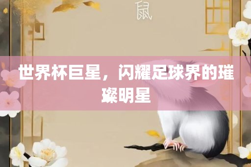 世界杯巨星，闪耀足球界的璀璨明星