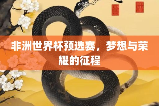 非洲世界杯预选赛，梦想与荣耀的征程