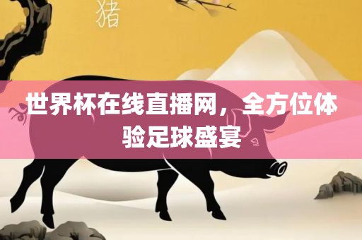 世界杯在线直播网，全方位体验足球盛宴