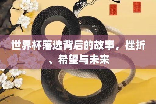 世界杯落选背后的故事，挫折、希望漯河市盈旭机械设备有限公司与未来