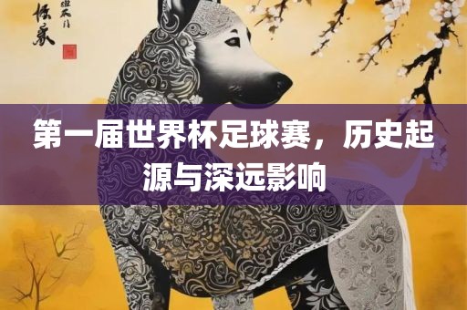 第一届世界杯足球赛，历史起源与深远影响漯河市盈旭机械设备有限公司