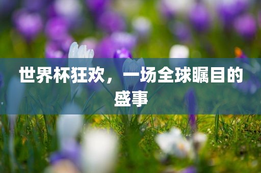 世界杯狂欢，一场全球瞩目的盛事