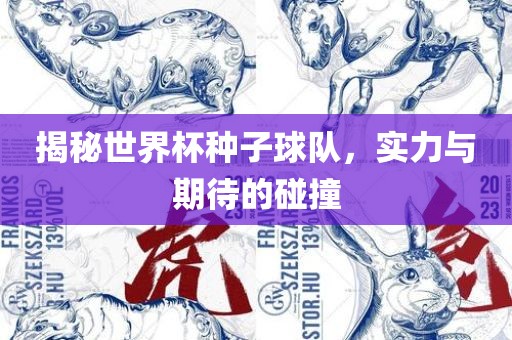 揭秘世界杯种子球队，实力与期待的碰撞