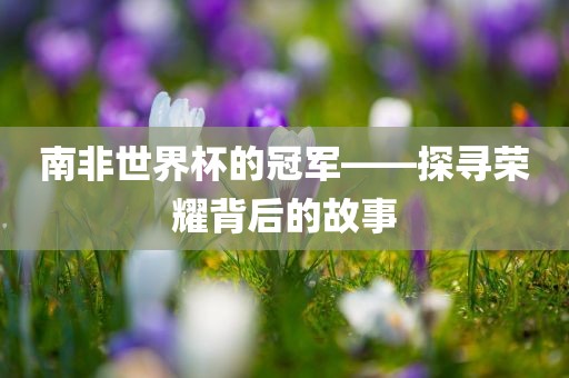 南非世界杯的冠军——探寻荣耀背后的故事