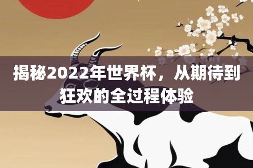 揭秘2022年世界杯，从期待到狂欢的全过程体验漯河市盈旭机械设备有限公司