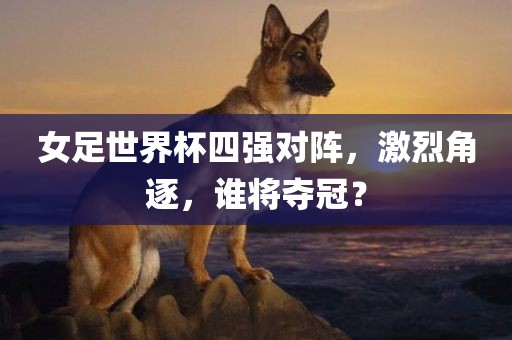女足世界杯四强对阵，激烈角逐，谁将夺冠？