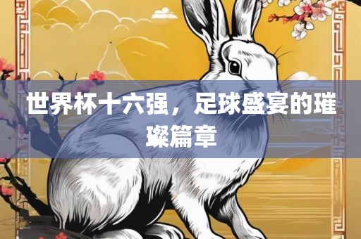 世界杯十六强，足球盛宴的璀璨篇章