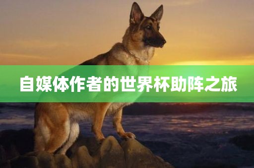自媒体作者的世界杯助阵之旅