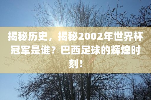 揭秘历史，揭秘2002年世界杯冠军是谁？巴西足球的辉煌时刻！