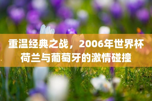 重温经典之战，2006年世界杯荷兰与葡萄牙的激情碰撞