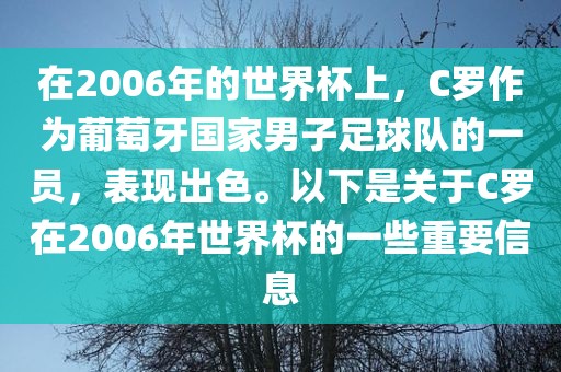 在2006年的世界杯上，C罗作为葡萄牙国家男子足球队的一员，表现出色。以下是关于C罗在2006年世界杯的一些重要信息