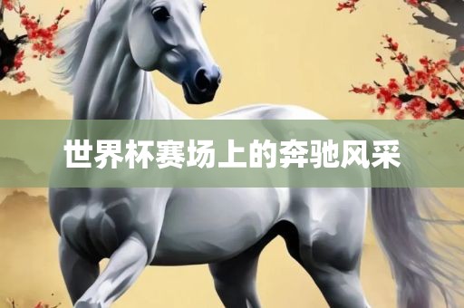 世界杯漯河市盈旭机械设备有限公司赛场上的奔驰风采